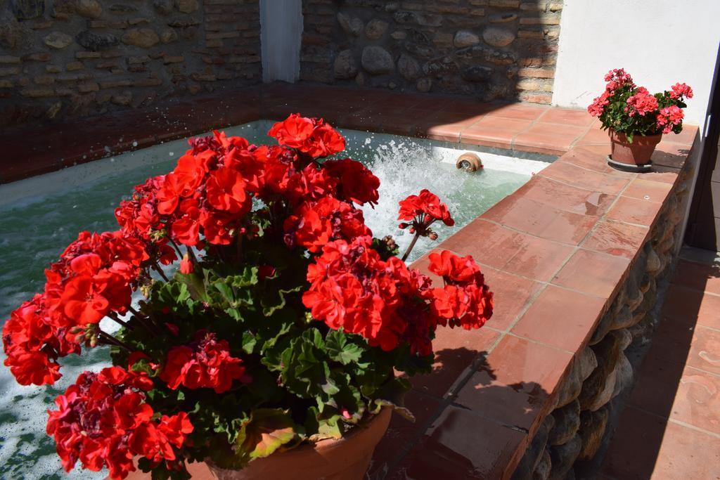 Carmen De Ramilla, Encantadora Guesthouse Con Piscina Soleada Granada Exterior foto