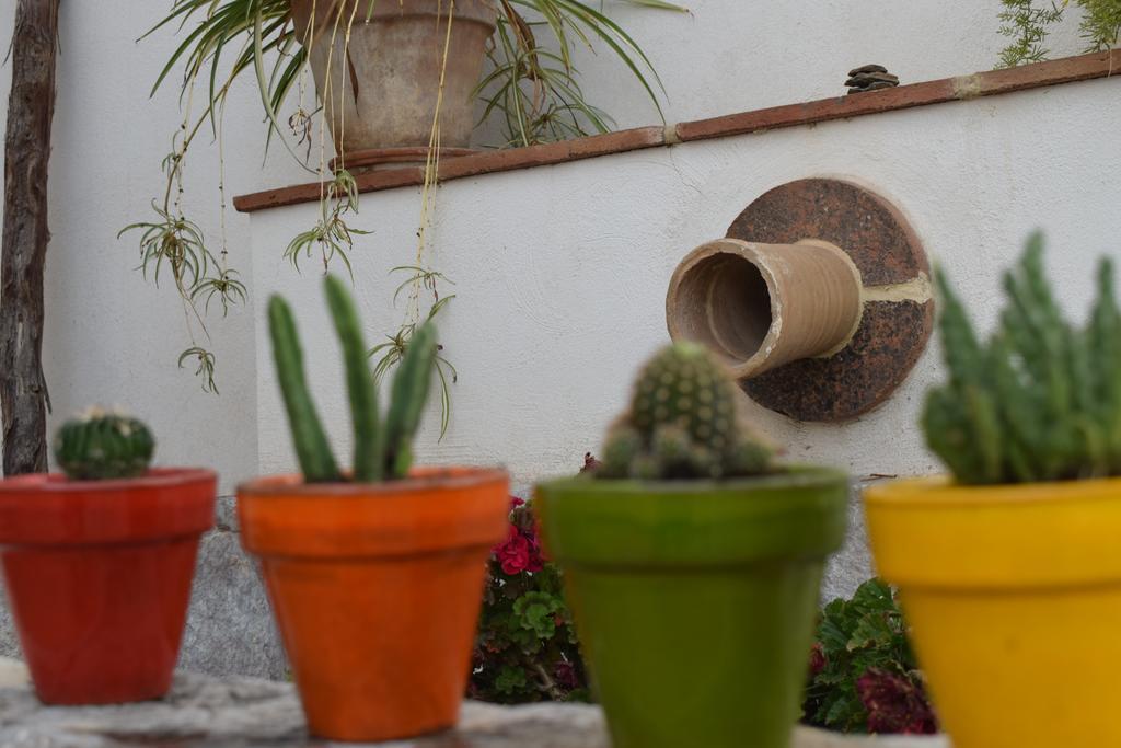 Carmen De Ramilla, Encantadora Guesthouse Con Piscina Soleada Granada Exterior foto